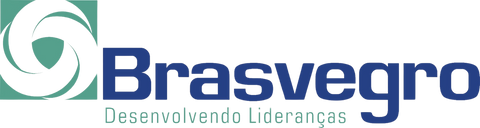Logomarca Brasvegro Vendas e Marketing, fornecedora do catálogo virtual de produtos aos clientes.